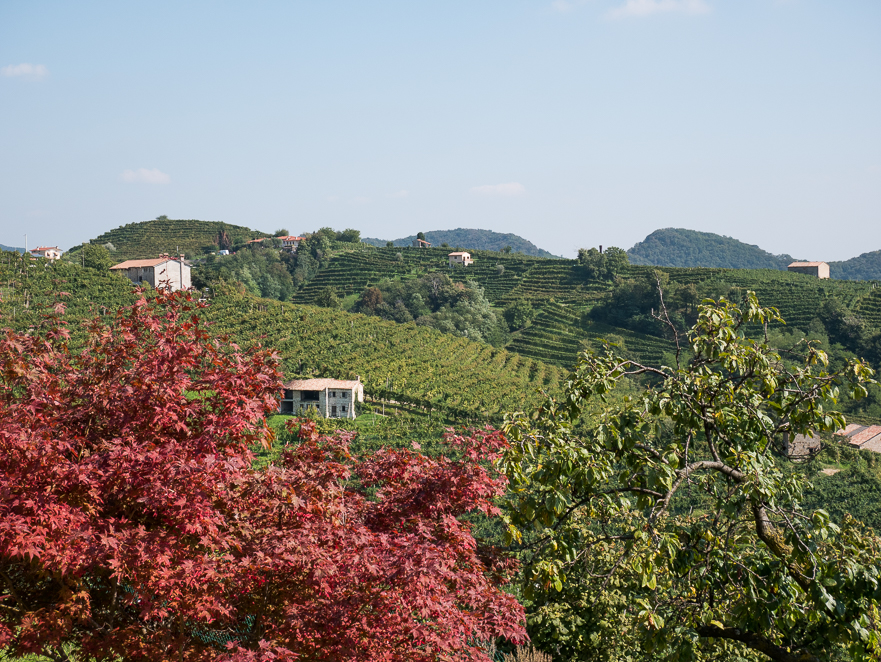 Blick über das Hügelland